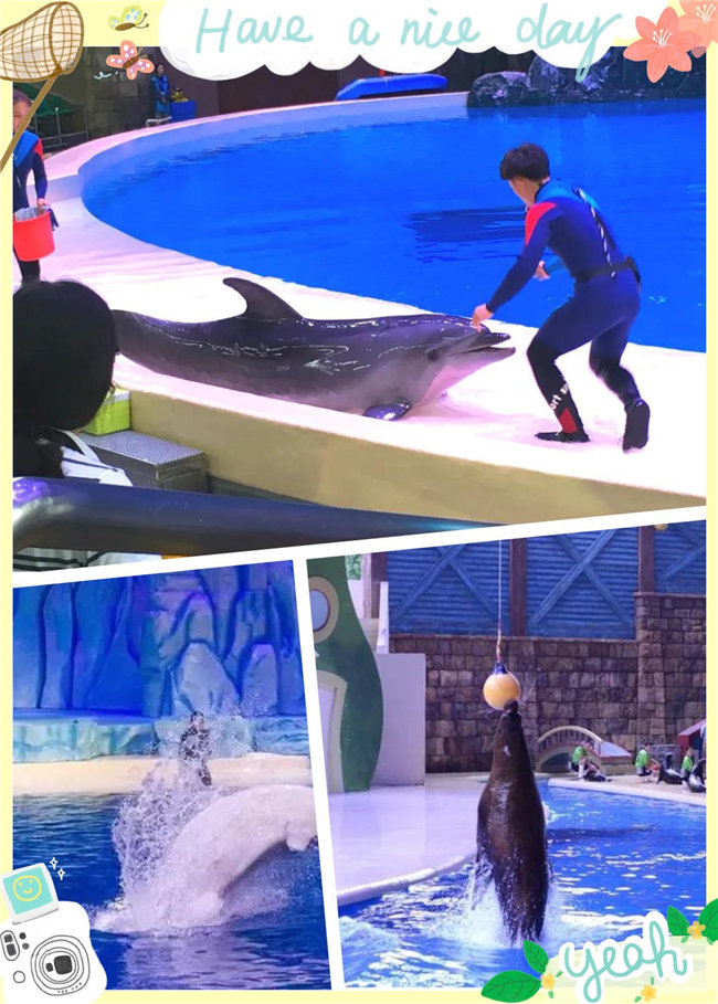 廣東博皓親子游:珠海長(zhǎng)隆海洋王國(guó),探索海洋生物的奧秘,劇場(chǎng)表演