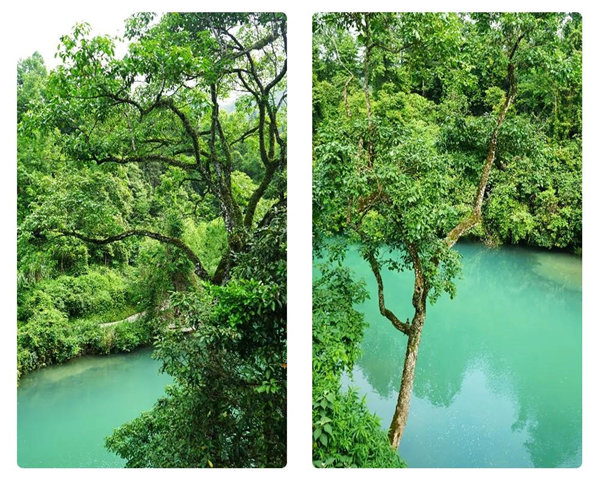 多彩貴州,魅力天下,2021年廣東博皓快樂貴州行-29