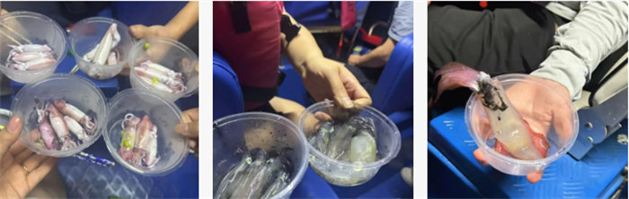 攜手博皓逐夢行，巽寮灣上展豪情—廣東博皓2025年巽寮灣之旅    -10