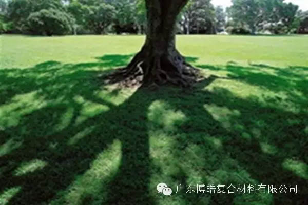 【博皓感悟】欲為大樹,莫與草爭-6